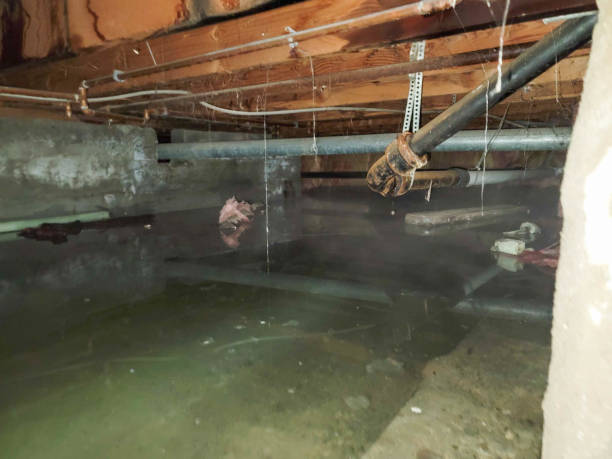 Carpet water damage restoration in Batesville, MS