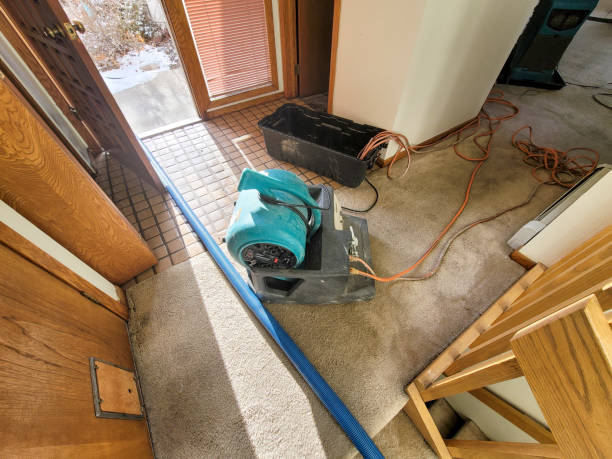 Best 24/7 water damage repair  in Batesville, MS
