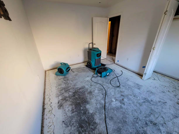 Best Water damage restoration near me  in Batesville, MS