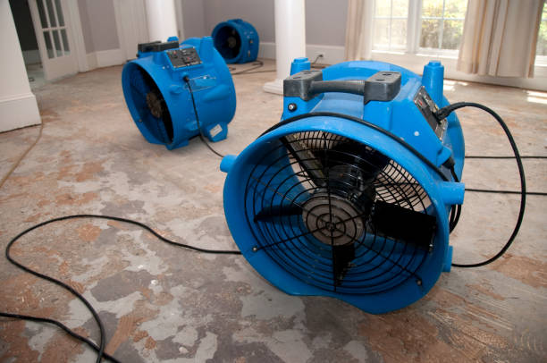 Best Sewage cleanup and water damage restoration  in Batesville, MS
