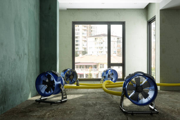 Best Ceiling water damage repair  in Batesville, MS